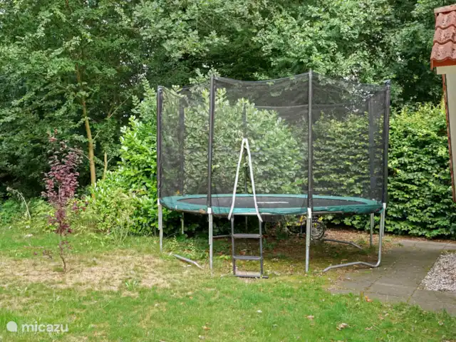 Trampoline